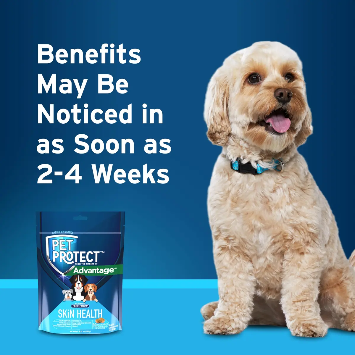 Pet Protect Skin Health Supplement for Dogs, Bacon Flavor, 60ct | Supports Sensitive Skin & Moisture - view 6