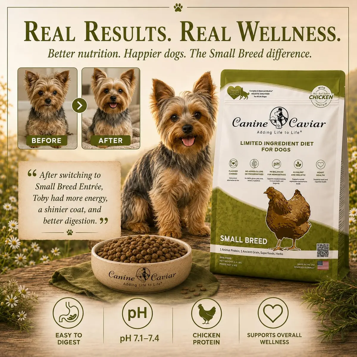 Canine Caviar Small Breed Dry Dog Food Chicken & Ground Oats 11 lb | Grain-Free, pH Balanced - view 9