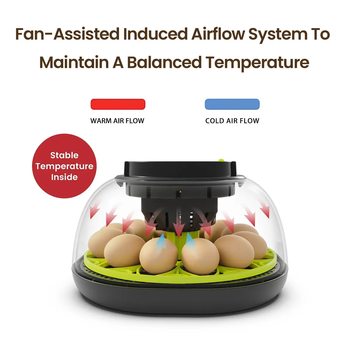 TRIOCOTTAGE 12 Egg Incubator with Automatic Turning & Humidity Control, 7.5"x7.5"x6.6" | Lab Supply for Hatching - view 2