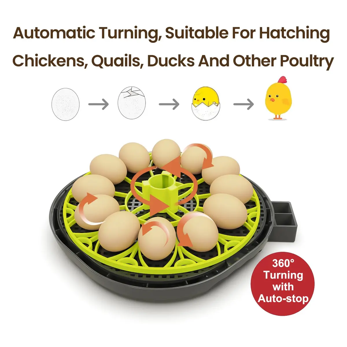 TRIOCOTTAGE 12 Egg Incubator with Automatic Turning & Humidity Control, 7.5"x7.5"x6.6" | Lab Supply for Hatching - view 3