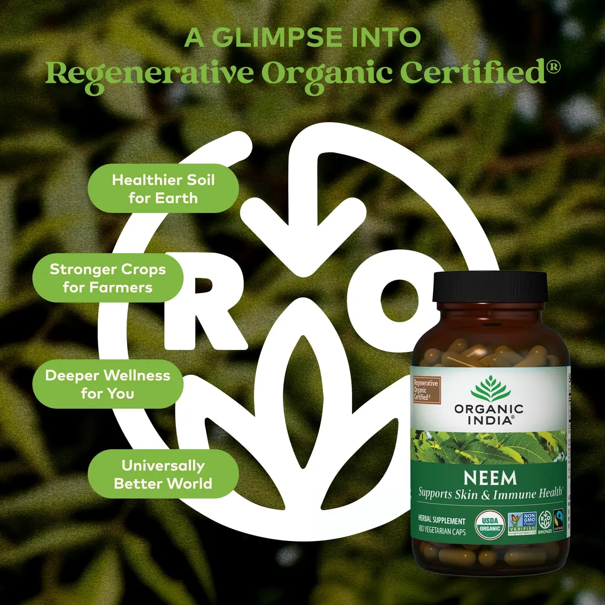 ORGANIC INDIA Neem Leaf Capsules | Herbal Supplement for Immunity & Detox, 180 Capsules - view 2