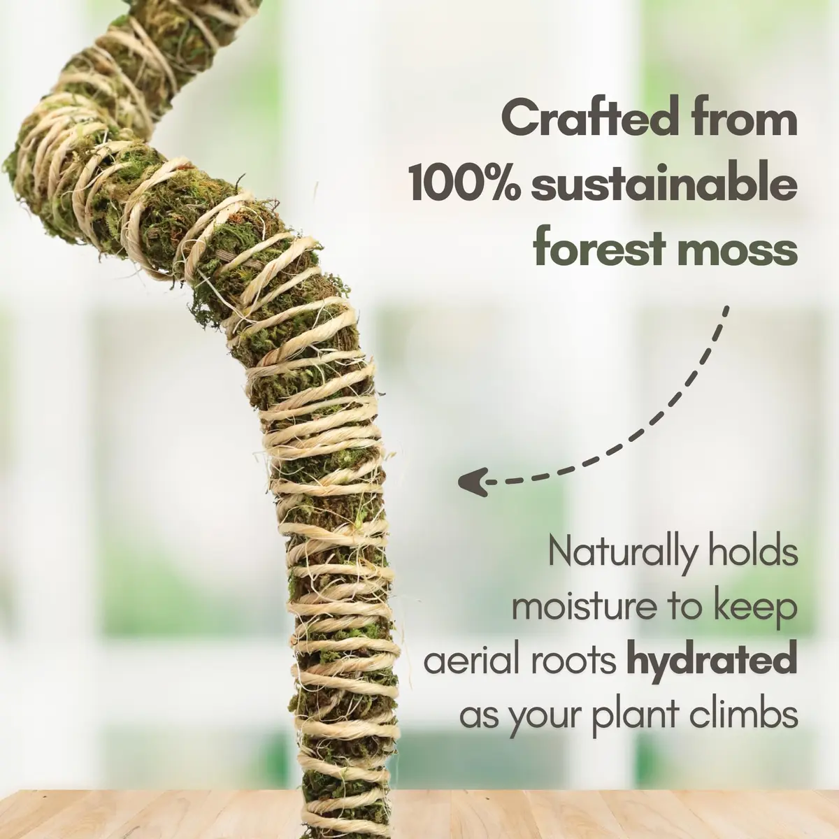 Mossify Bendable Moss Pole 30'' (76.2 cm) - 3 Pack, Natural Forest Moss | Flexible Climbing Plant Support for Monstera, Pothos, Philodendron - view 5