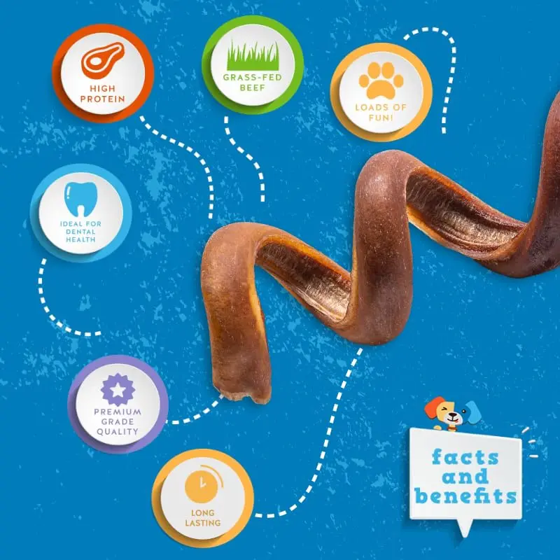 Jack&Pup Bully Springs for Dogs | 7" Spiral Bully Sticks | Long Lasting, Odor Free, Stimulating Dog Chews - view 2