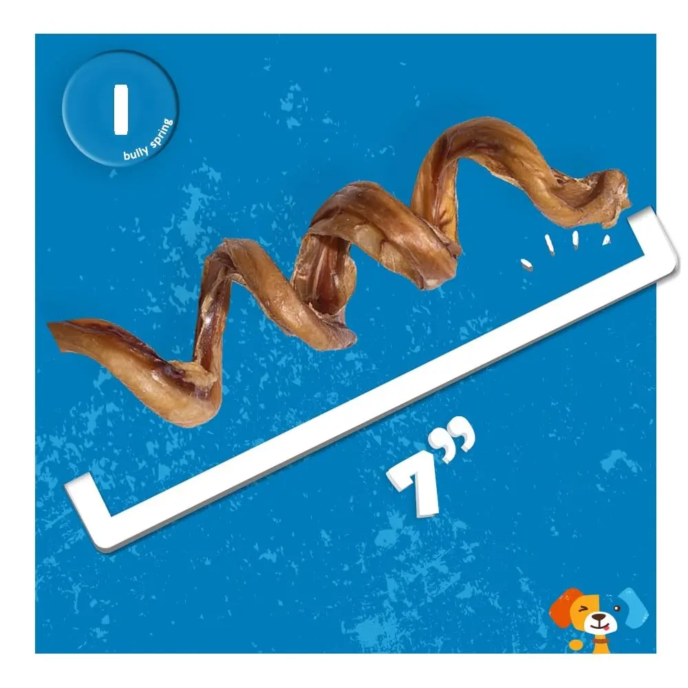 Jack&Pup Bully Springs for Dogs | 7" Spiral Bully Sticks | Long Lasting, Odor Free, Stimulating Dog Chews - view 4