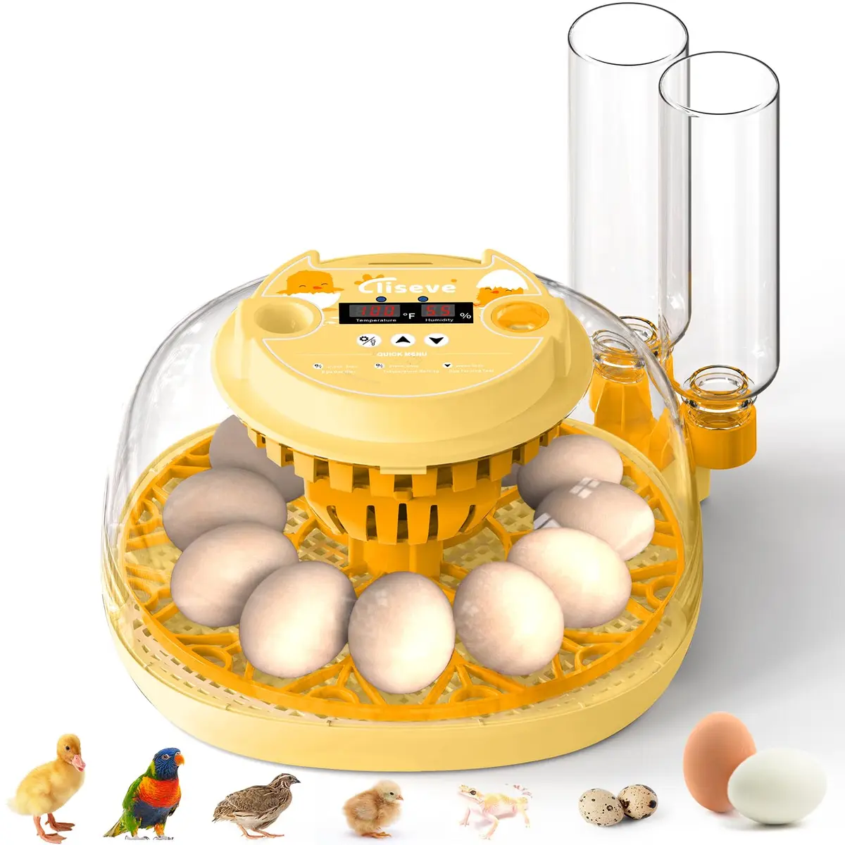 Cliseve Automatic Egg Incubator with Turner & Temp/Humidity Display (12-Egg Capacity) - main product image
