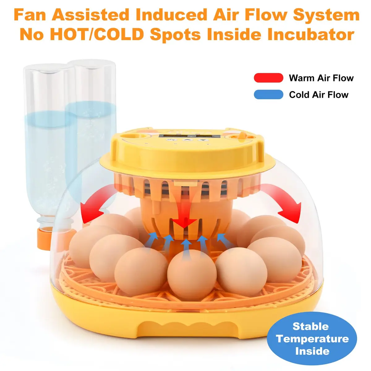Cliseve Automatic Egg Incubator with Turner & Temp/Humidity Display (12-Egg Capacity) - view 5