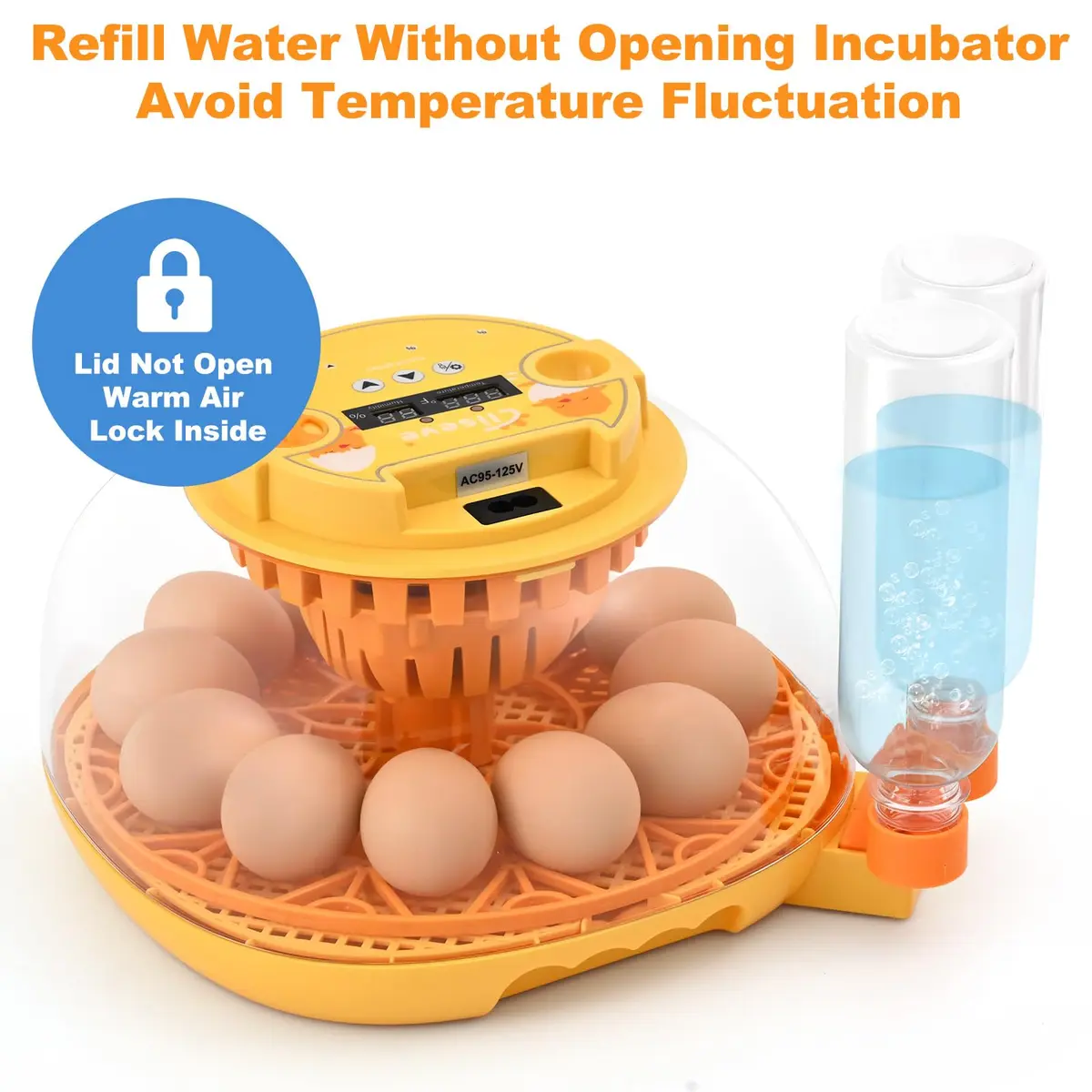 Cliseve Automatic Egg Incubator with Turner & Temp/Humidity Display (12-Egg Capacity) - view 6