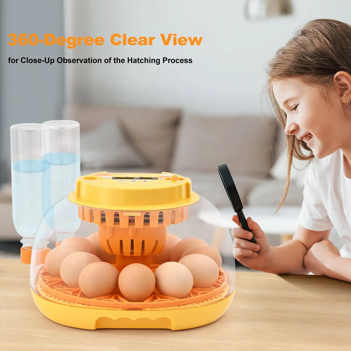 Cliseve Automatic Egg Incubator with Turner & Temp/Humidity Display (12-Egg Capacity) - view 7