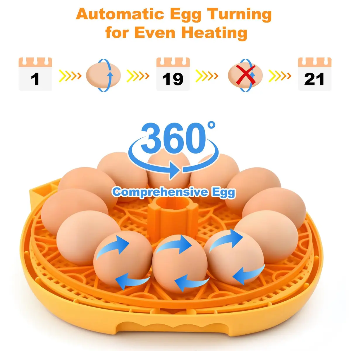 Cliseve Automatic Egg Incubator with Turner & Temp/Humidity Display (12-Egg Capacity) - view 4