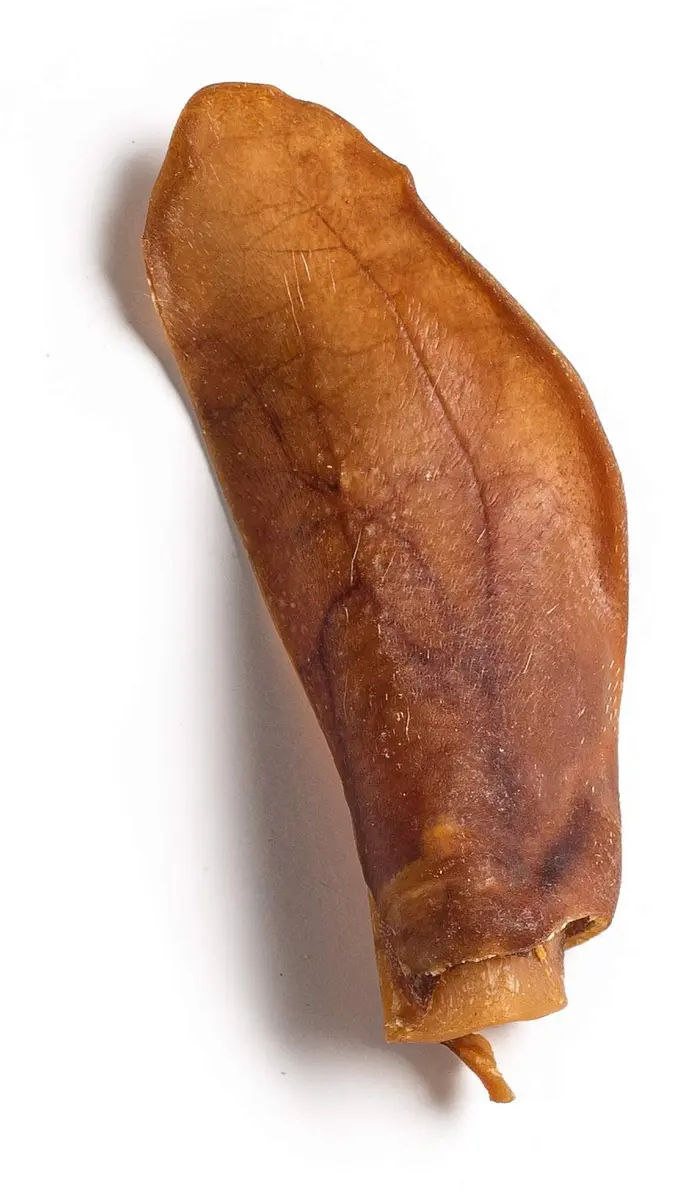 Jack&Pup Natural Half Pig Ears for Dogs 5 Pack | Premium, Fully Digestible, Odor-Free Dog Chew Treats (7 Inches) - view 6