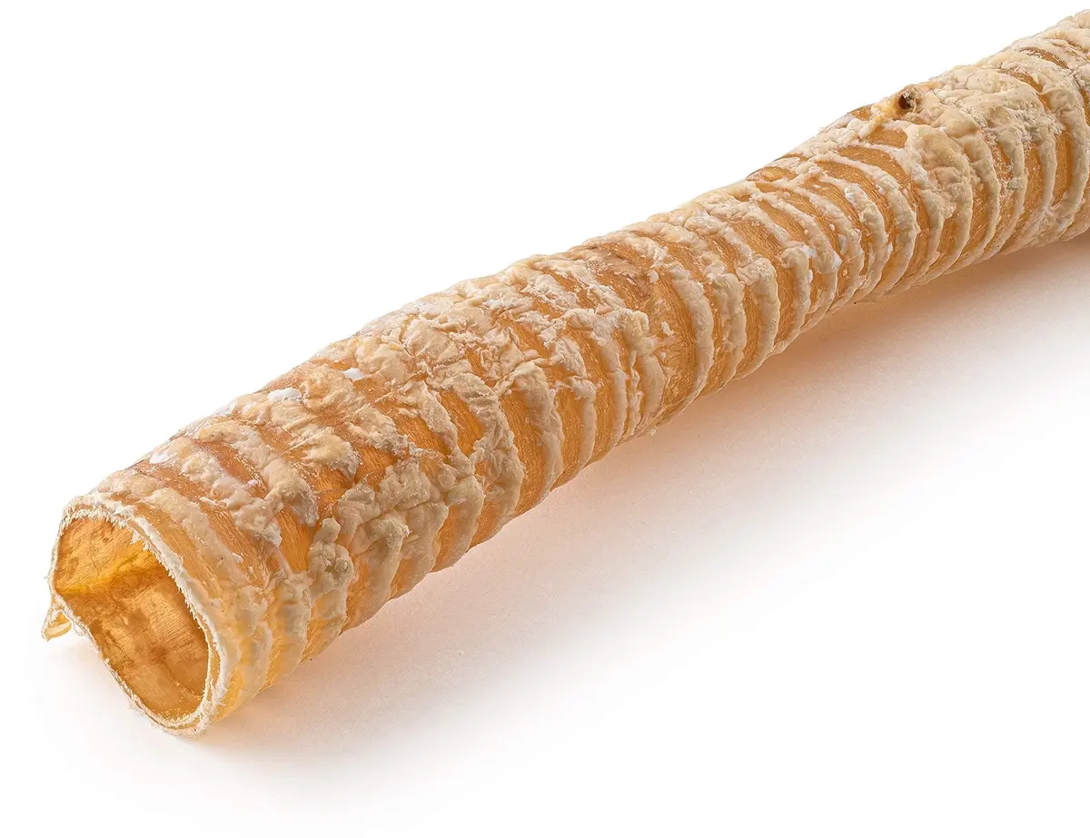 Jack&Pup Beef Trachea Dog Chews 12 Inch | Natural, Durable & Joint Support (70-120 chars) - view 6