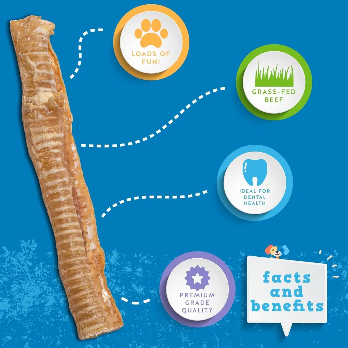 Jack&Pup Beef Trachea Dog Chews 12 Inch | Natural, Durable & Joint Support (70-120 chars) - view 2