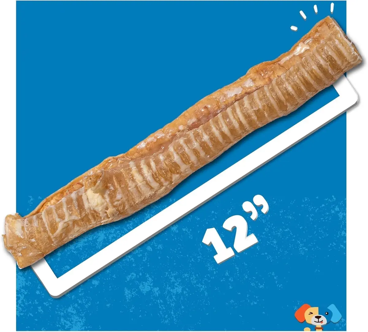 Jack&Pup Beef Trachea Dog Chews 12 Inch | Natural, Durable & Joint Support (70-120 chars) - view 3