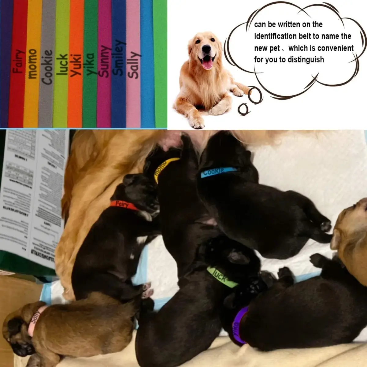 FEBSNOW Puppy Kitten Whelping Collars, 20 Colors, 23cm (9") | Soft Velvet Lined ID Bands for Newborn Pets - view 5