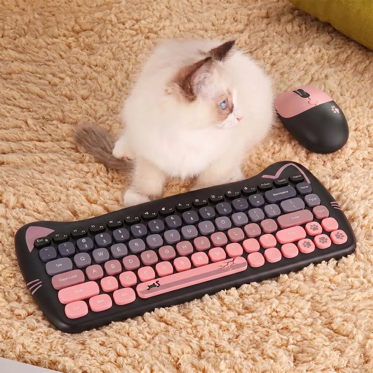 Lomiluskr Cute Cat Wireless Keyboard and Mouse Combo 84-Key English Layout | 2.4GHz Wireless Connectivity - view 3