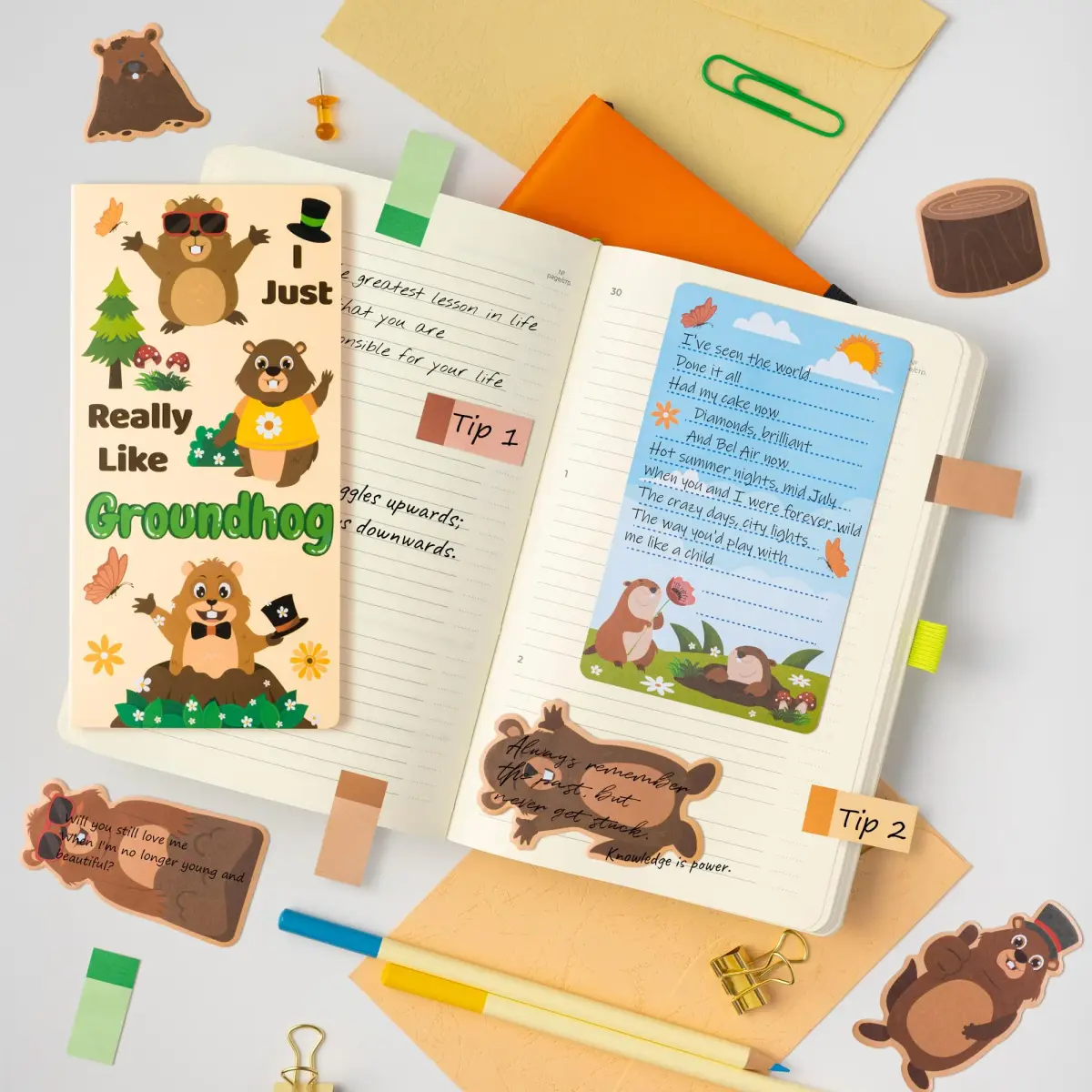 Xqumoi Groundhog Sticky Notes Set | Cute Animal Self-Stick Note Pads Bundle for Back to School - view 4
