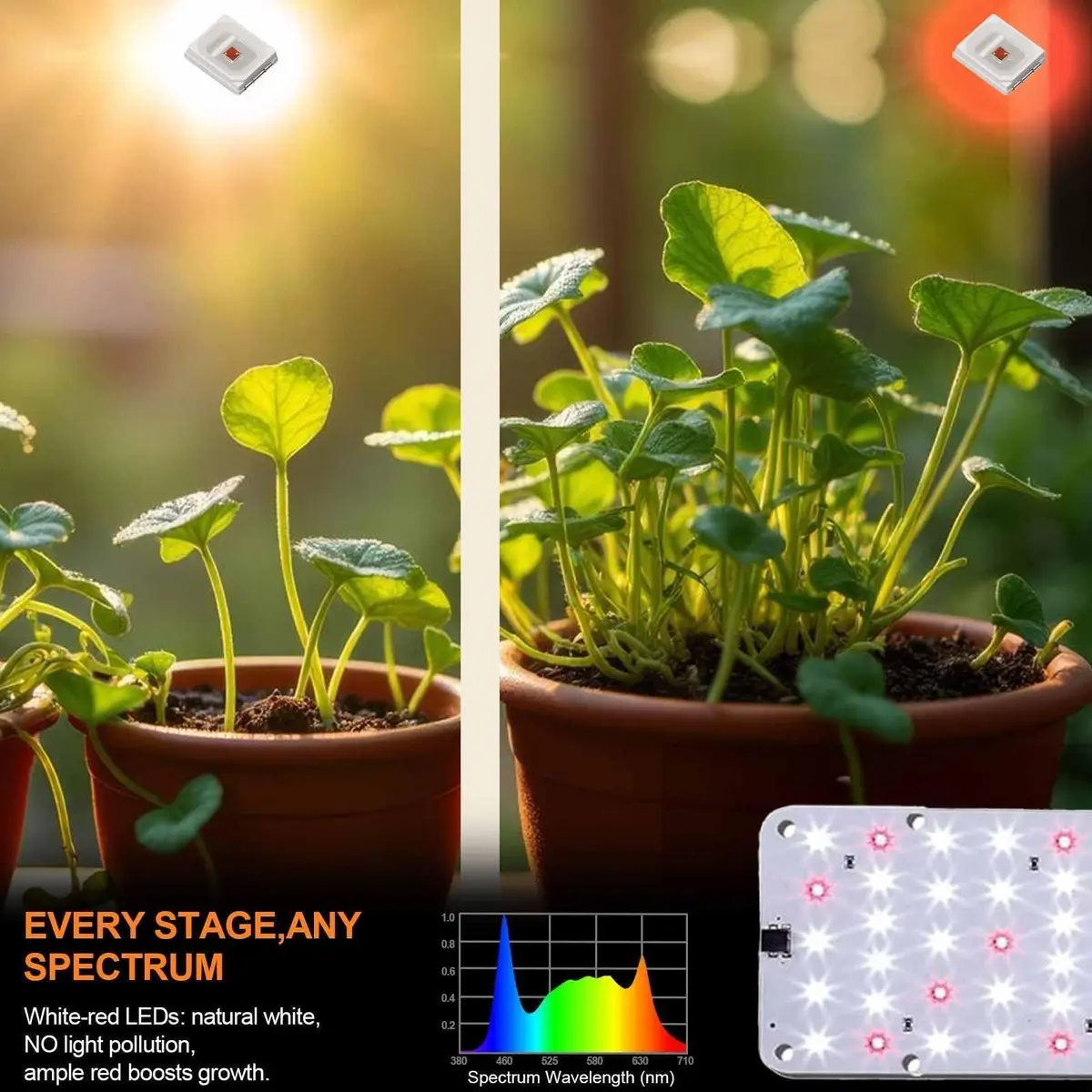 DOMMIA Panel Grow Light for Indoor Plants, 20W Ultra-Thin Full Spectrum | Adjustable Timer & Brightness - view 4