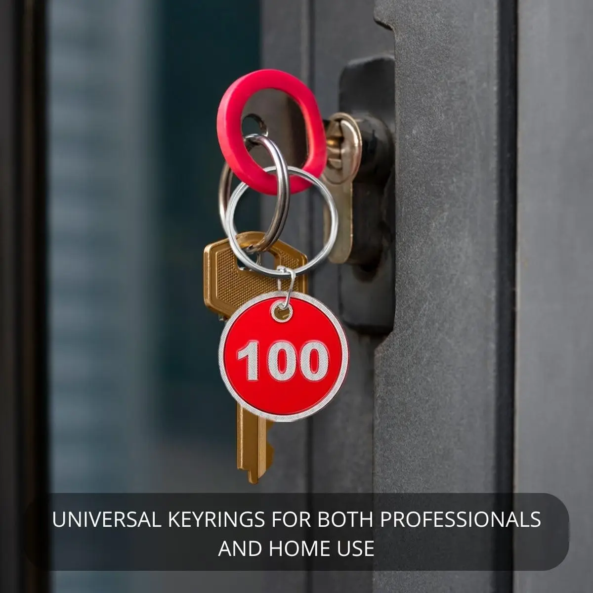 BELMAKS Red Metal Number Tags 1-100 | Durable Alloy Steel Key Tags for Organization - view 6