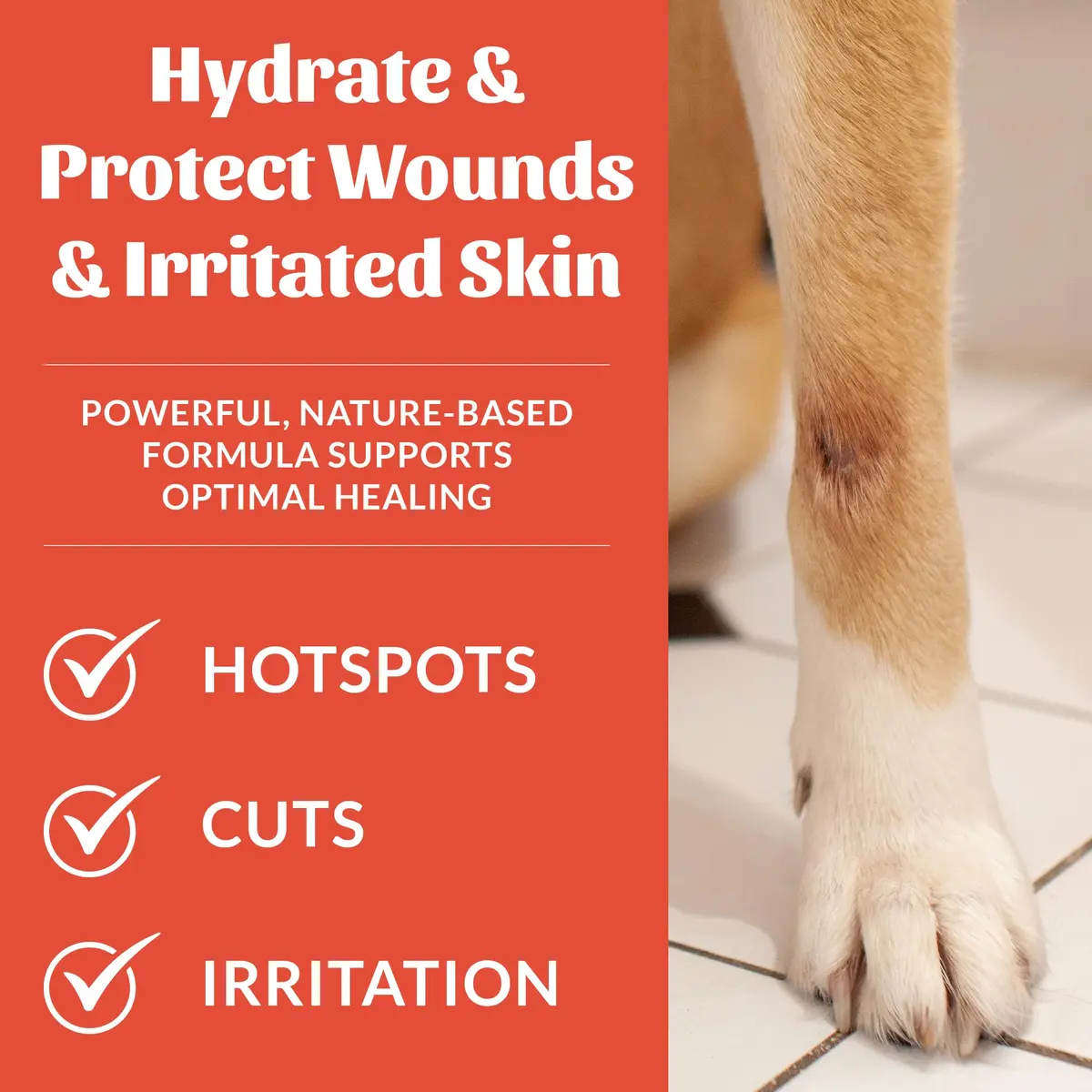 SKOUT'S HONOR Probiotic Hot Spot Hydrogel for Dogs 4 oz | Soothes & Heals Skin - view 3