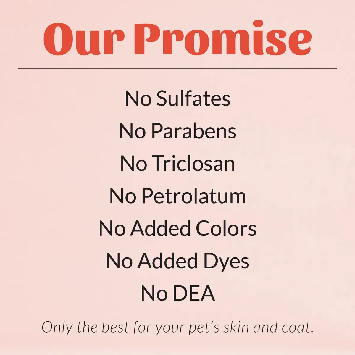 SKOUT'S HONOR Probiotic Itch Relief Shampoo for Dogs, 16 oz, 2-Pack | Supports Healthy Skin Microbiome & Fast Relief - view 6
