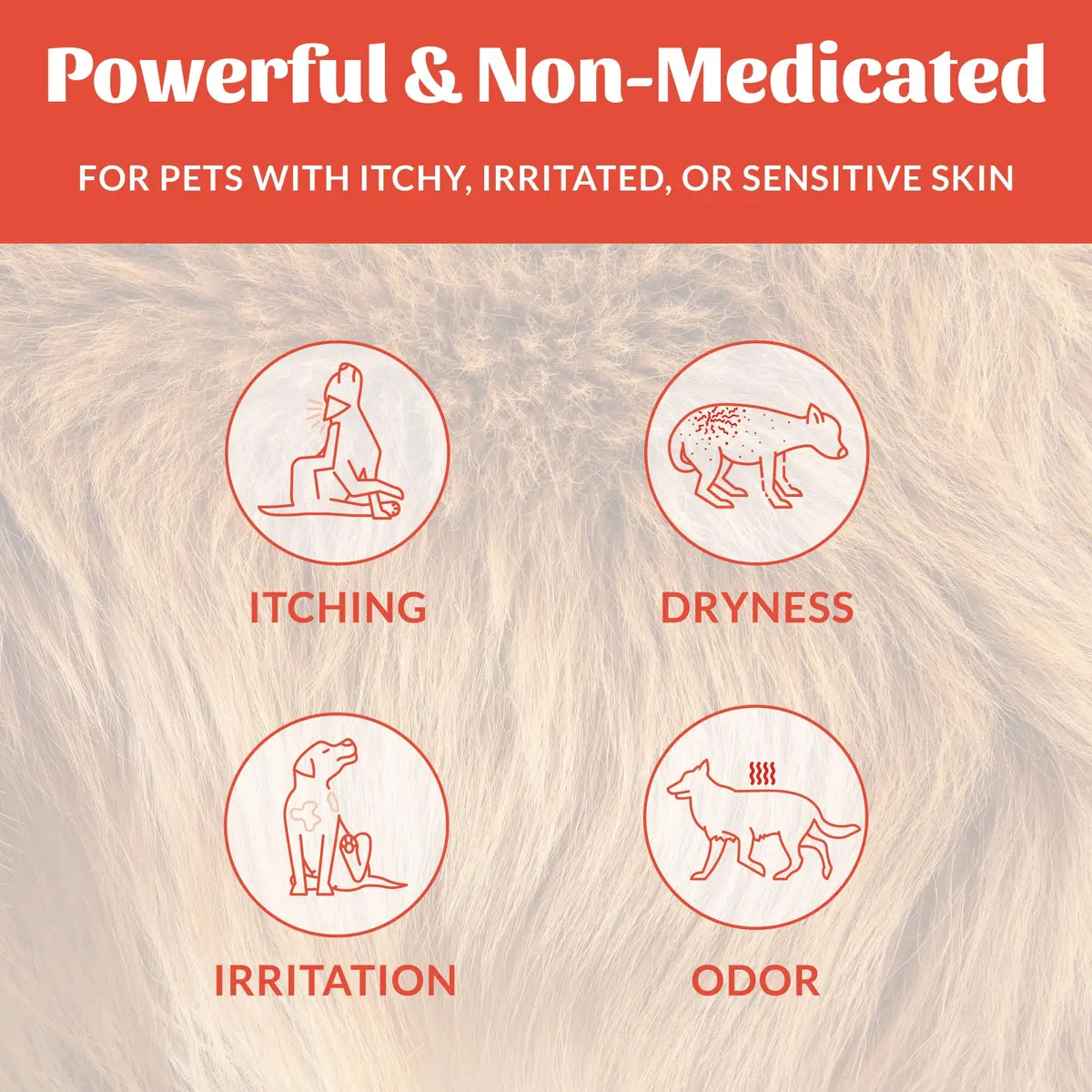 SKOUT'S HONOR Probiotic Itch Relief Shampoo for Dogs, 16 oz, 2-Pack | Supports Healthy Skin Microbiome & Fast Relief - view 3