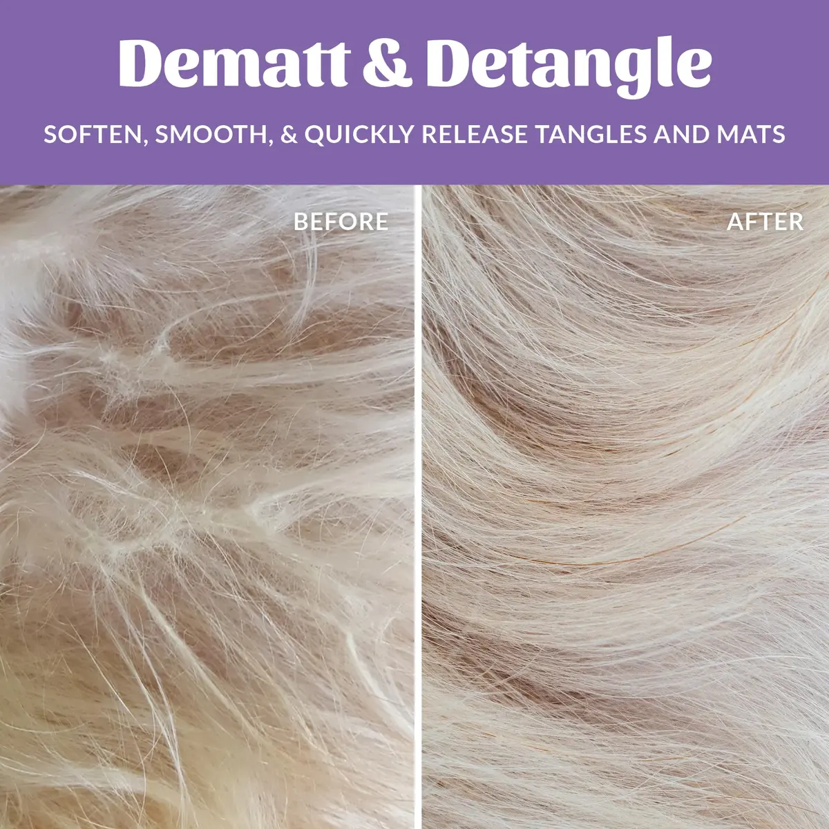SKOUT'S HONOR Probiotic Dog Detangler Spray - Lavender | Hydrates & Nourishes, Supports Healthy Skin, 8 oz, 2-Pack - view 4