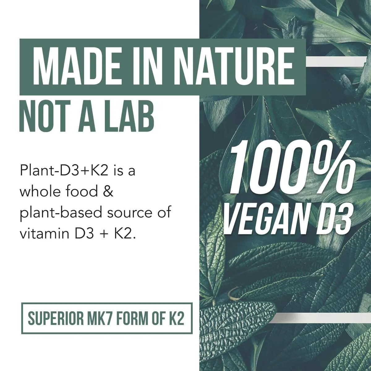Triquetra Health Organic Plant D3 + K2 | 10,000 IU D3 + 120 mcg K2 | Vegan, Organic, Vegan, 60 Count - view 6