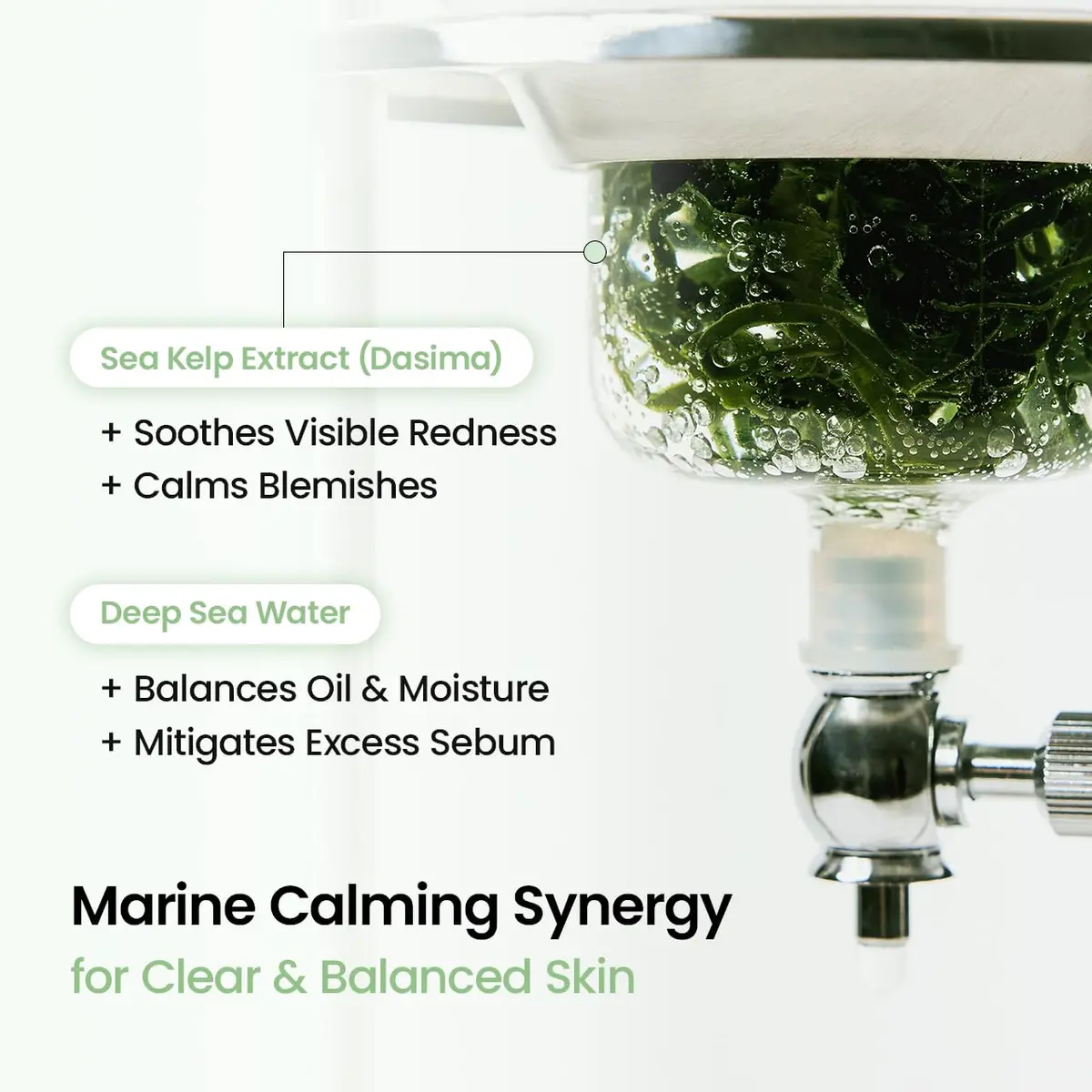 BIODANCE Deep Hydrogel Face Mask with Sea Kelp for All Skin Types, 4 Pack | Calming, Oil & Sebum Control, Sunburn Relief - view 4