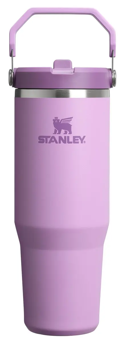 STANLEY IceFlow 2.0 Flip Straw Tumbler 30 oz | Leak-Proof Stainless Steel Hydration - main product image