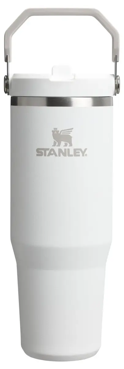 STANLEY IceFlow 2.0 Flip Straw Tumbler, 30 oz, Frost - Faster Sips, Less Spills - main product image