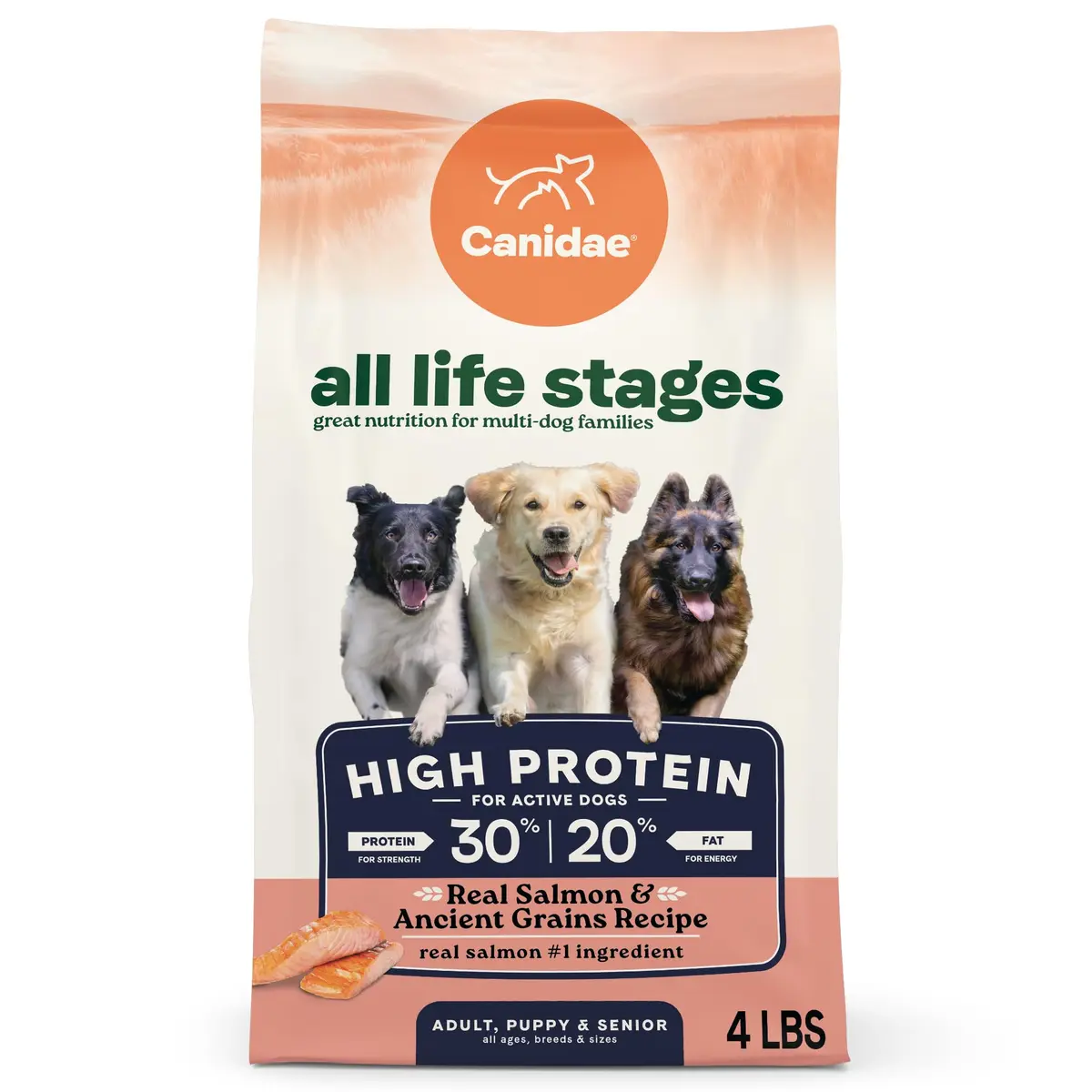 CANIDAE All Life Stages High Protein Dog Food 4 lb | Salmon & Ancient Grains for Active Dogs - main product image