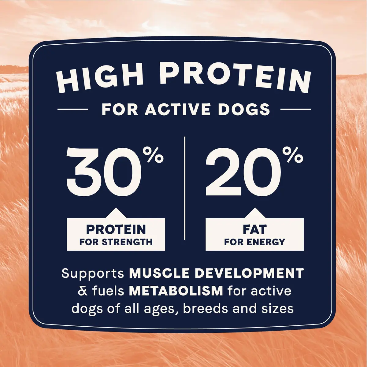 CANIDAE All Life Stages High Protein Dog Food 4 lb | Salmon & Ancient Grains for Active Dogs - view 5