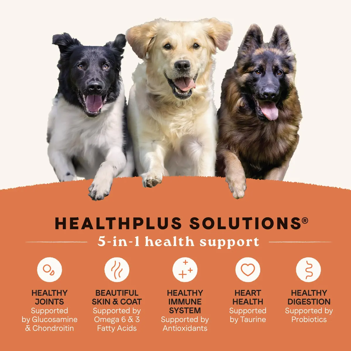 CANIDAE All Life Stages High Protein Dog Food 4 lb | Salmon & Ancient Grains for Active Dogs - view 3