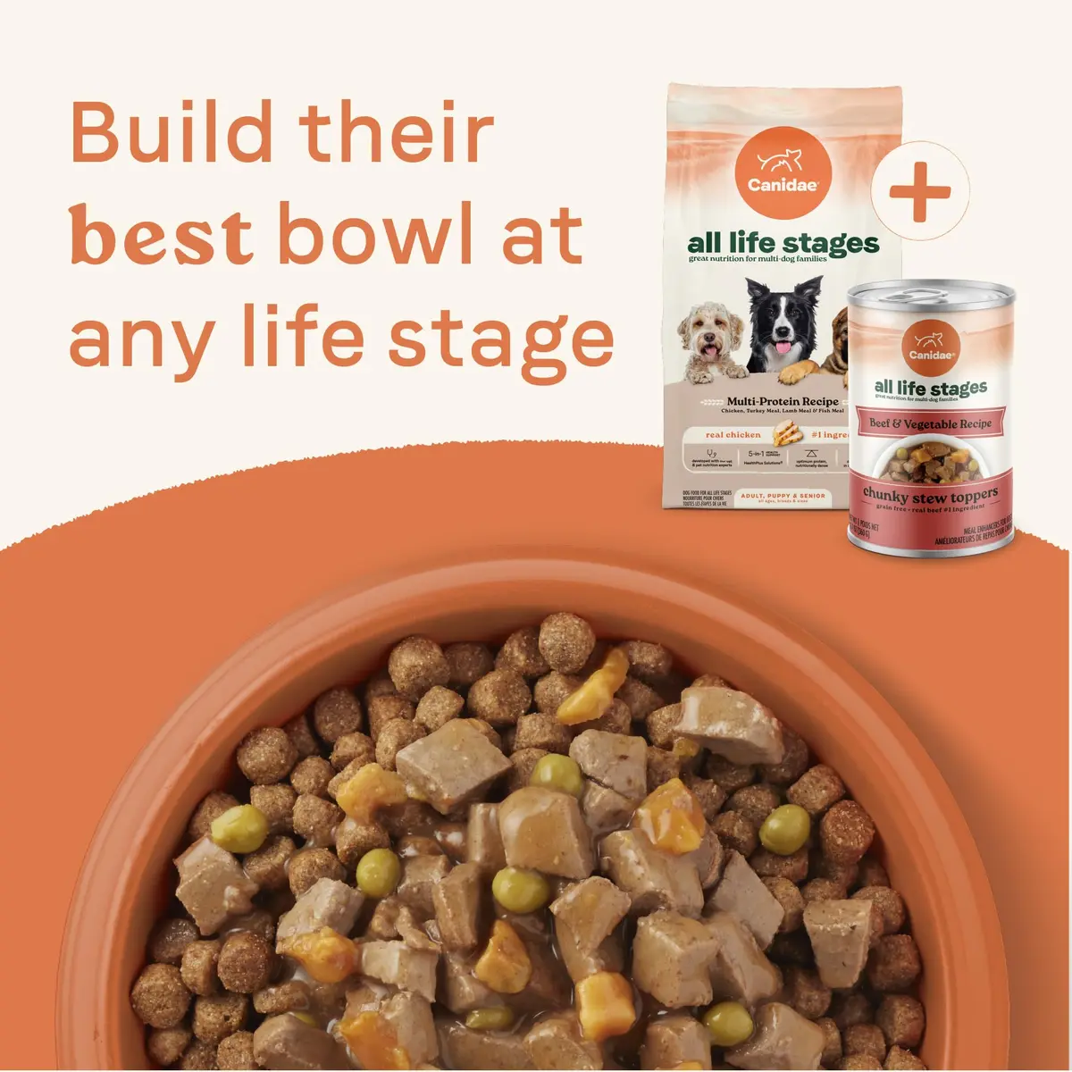 CANIDAE All Life Stages Beef & Vegetable Chunky Stew 12.7 oz Pack of 6 | Hearty Real Meat & Veg for Dogs - view 9