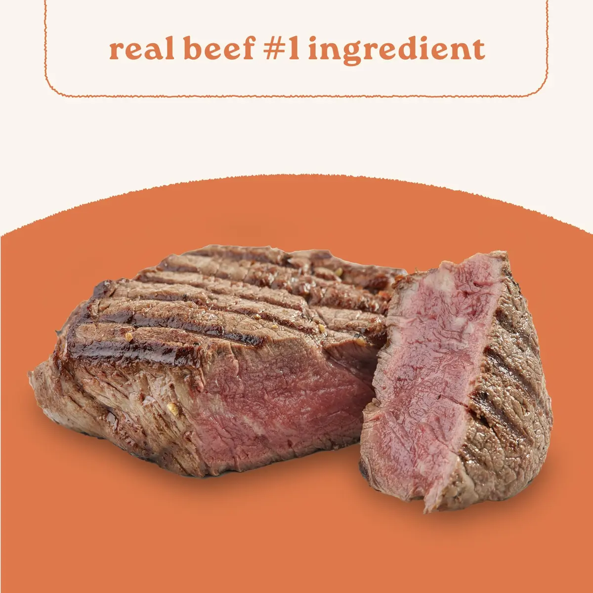 CANIDAE All Life Stages Beef & Vegetable Chunky Stew 12.7 oz Pack of 6 | Hearty Real Meat & Veg for Dogs - view 4