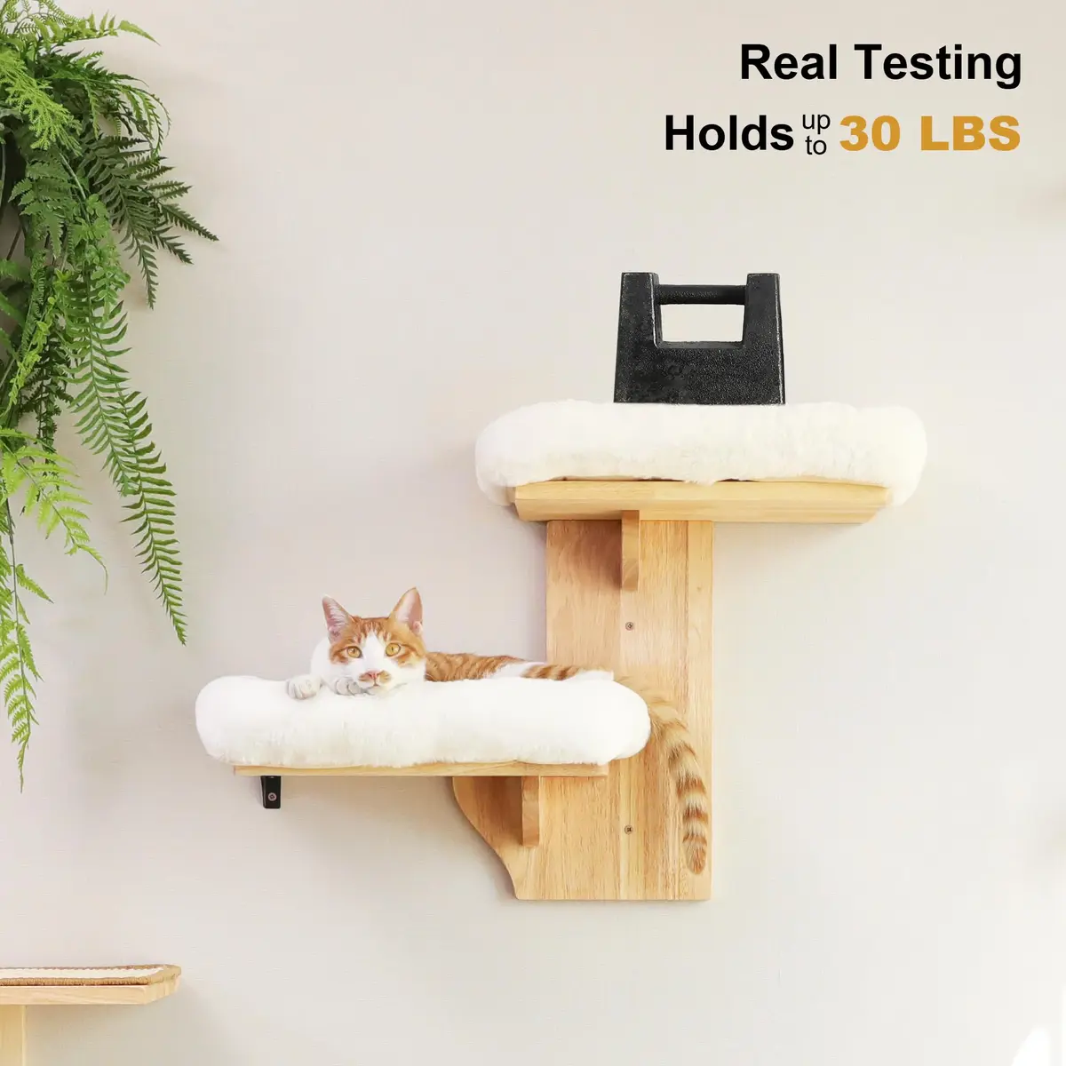 FUKUMARU Cat Wall Shelves 2 Platform with Soft Cushion Perch | Tree Shape Indoor Cat Furniture - view 3
