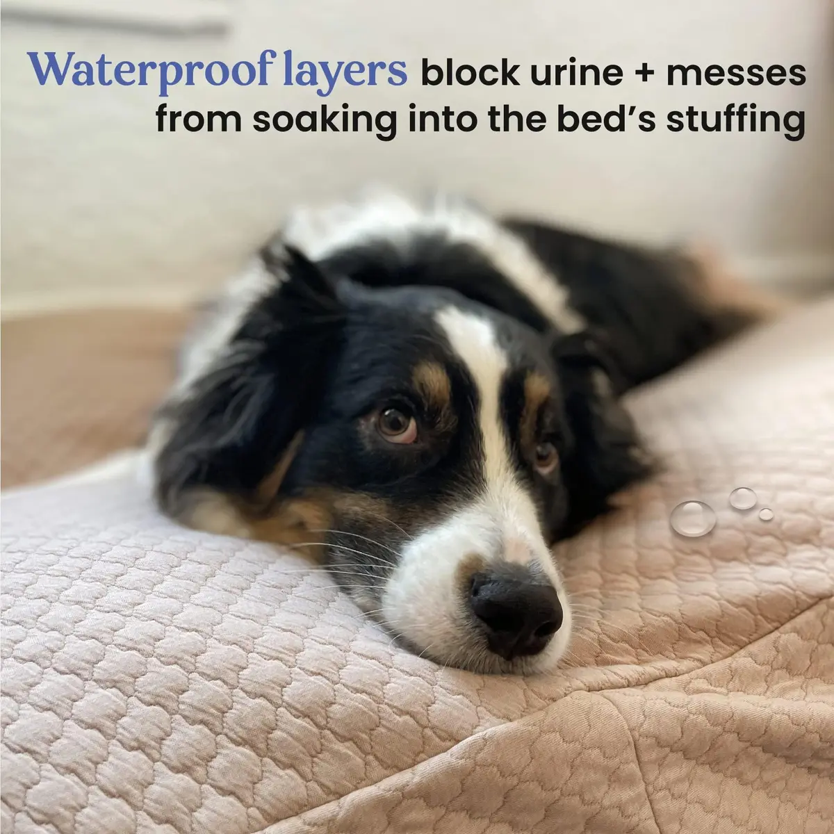 4Knines Quilted Dog Bed Cover XL | Waterproof Heavy-Duty Washable Fog - view 4