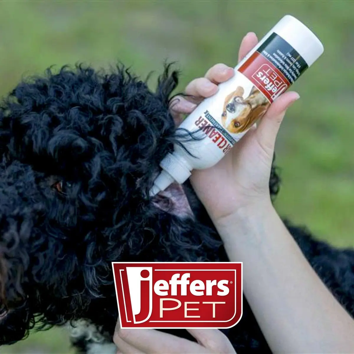 Jeffers Pet Ear Cleaning Solution for Dogs, Cats & Puppies | Aloe Vera Ear Wash for Wax & Odor Removal, Itchy Ear Comfort, Routine Ear Hygiene, Travel Friendly - view 3