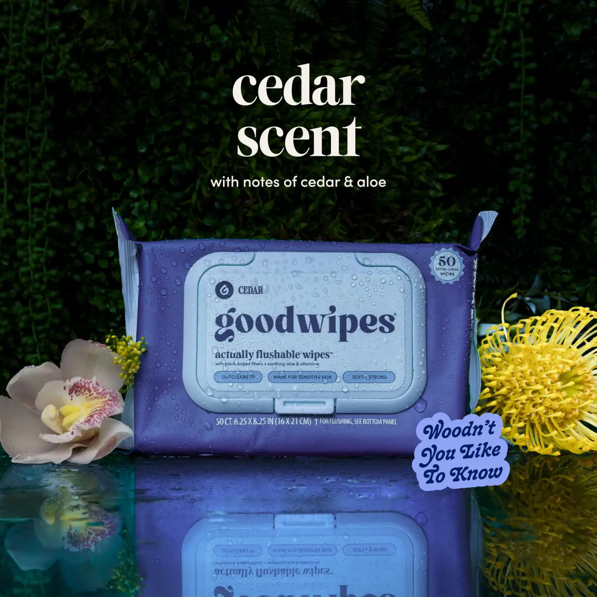 goodwipes Flushable Wet Wipes for Adults, Cedar Scent, pH Balanced & Extra Large, 153 Count (3 Packs + 3 Singles) - view 9