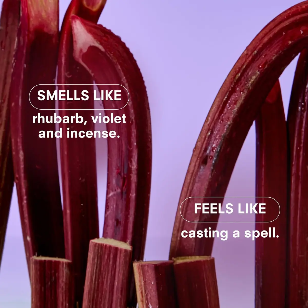 Boy Smells Violet Ends Candle - 27 oz Aromatic Candle with Rhubarb, Violet & Smoked Papyrus, Up to 100-Hour Burn - view 5