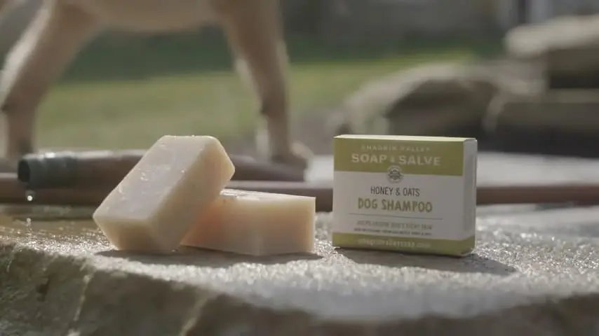 Chagrin Valley Soap & Salve Organic Dog Shampoo & Conditioner 3.8 oz | Puppy Itchy Skin Relief & Coat Nourishment - view 11