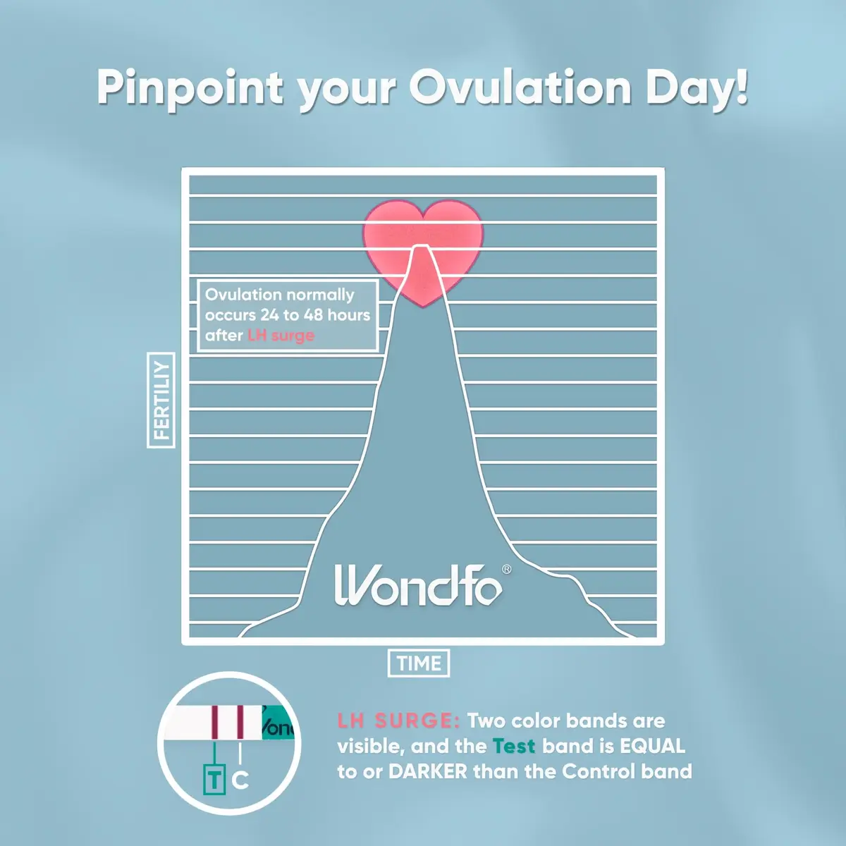 Wondfo Ovulation Test Strips 25 Count | Highly Sensitive Fertility Kit for Indian Women - view 4