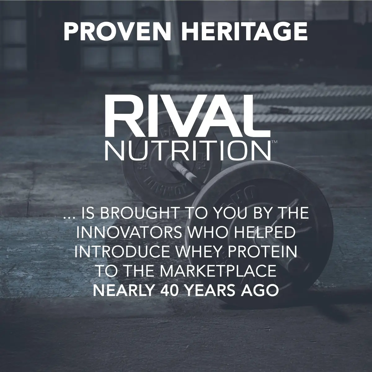Rival Nutrition Promasil Protein Powder (Rich Chocolate, 0.91kg) | 24g Protein, Multi-Source Blend, USA Import - view 7