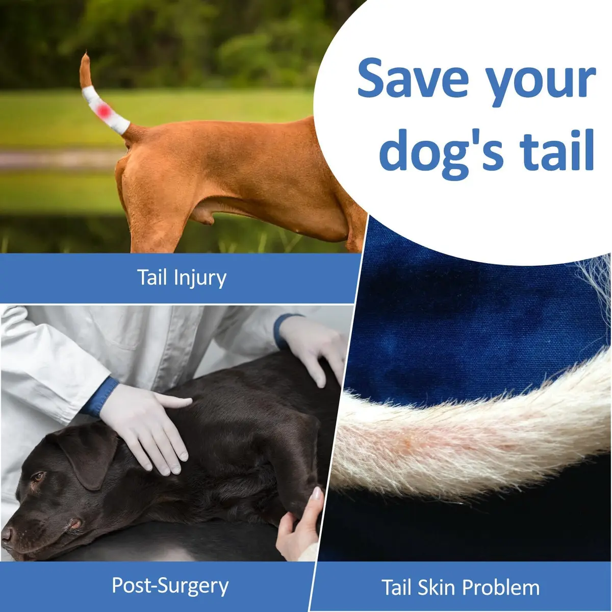 BARKLESS Dog Tail Protector for Medium & Large Dogs | Wound Cover & Recovery Aid - view 6