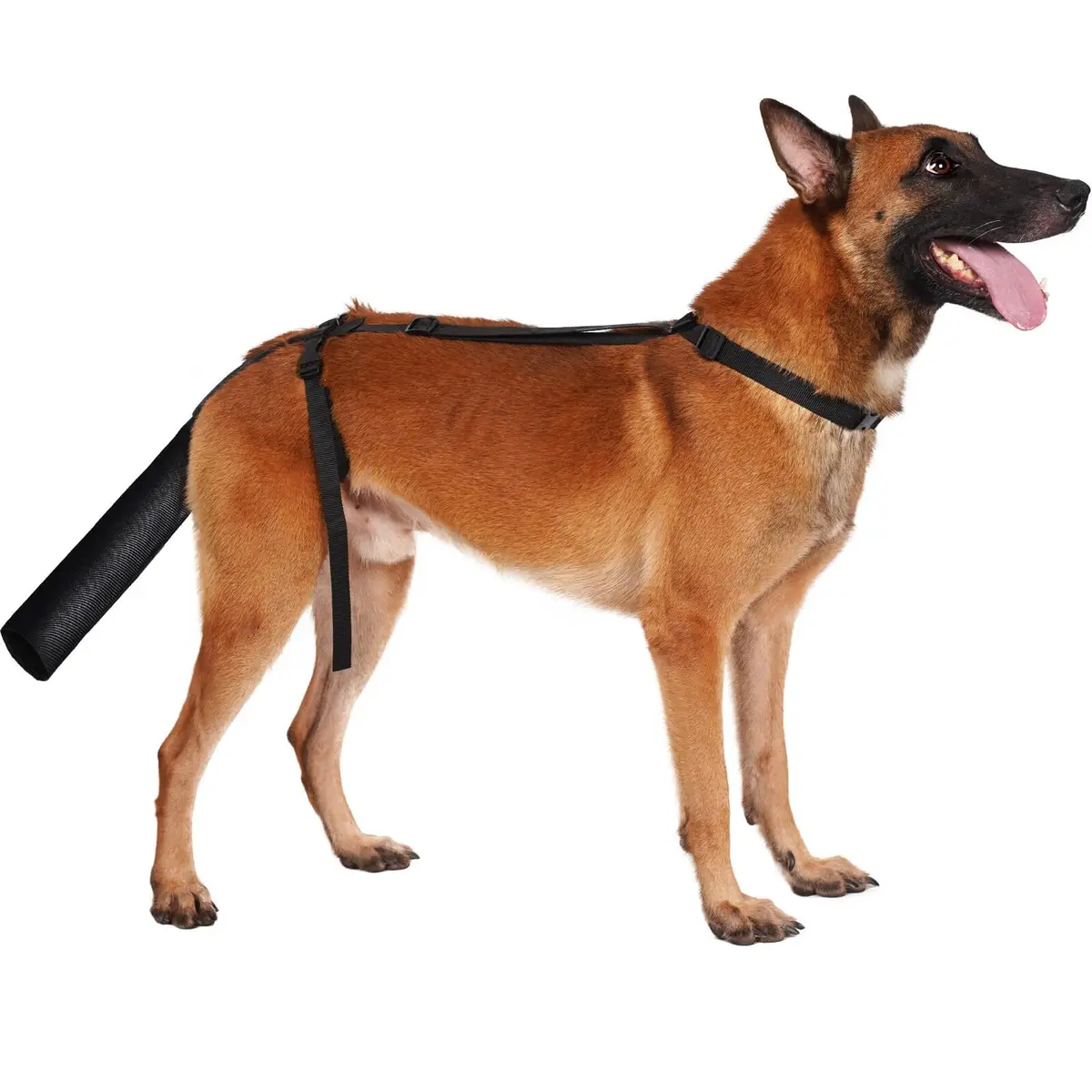 BARKLESS Dog Tail Protector for Medium & Large Dogs | Wound Cover & Recovery Aid - main product image