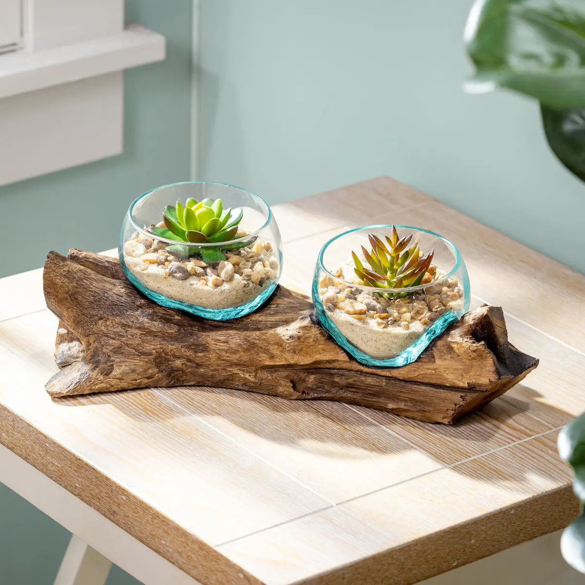 Cape Craftsmen Set of 2 Terrariums | Hand-Blown Bubble Glass & Driftwood Indoor Planters - main product image