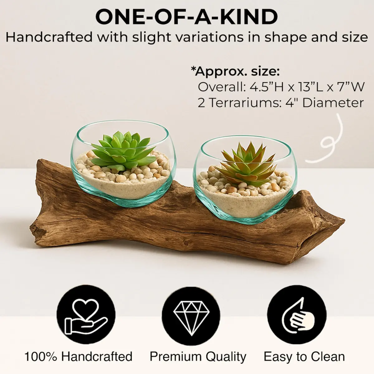 Cape Craftsmen Set of 2 Terrariums | Hand-Blown Bubble Glass & Driftwood Indoor Planters - view 3