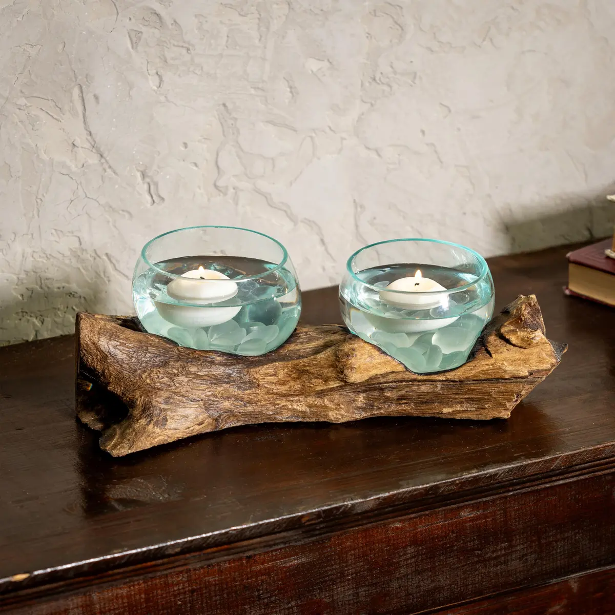 Cape Craftsmen Set of 2 Terrariums | Hand-Blown Bubble Glass & Driftwood Indoor Planters - view 4
