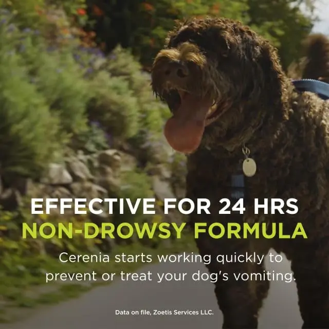 Cerenia (maropitant citrate) for Dogs 160 mg | Prevents Vomiting & Motion Sickness - view 10