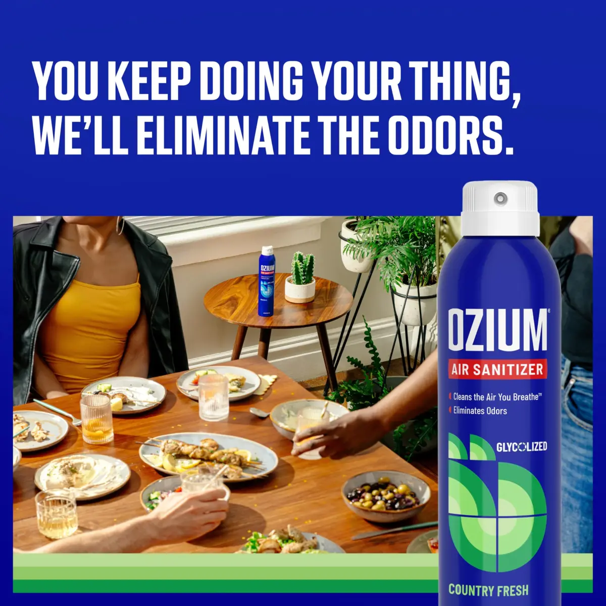 Ozium Air Sanitizer Spray Country Fresh 8 oz (237 ml) | Eliminates Odors & Sanitizes Air - view 2